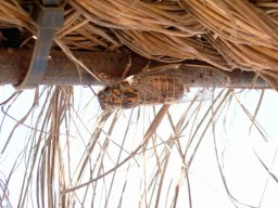 HolidaySpain_20021005_002155